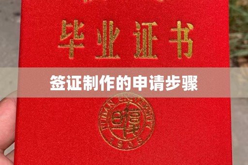 寻甸签证制作的申请步骤