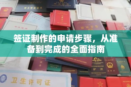 寻甸签证制作的申请步骤，从准备到完成的全面指南