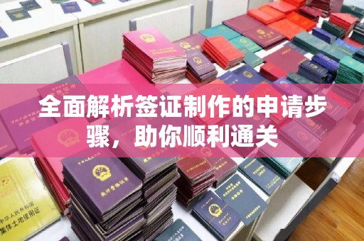 寻甸全面解析签证制作的申请步骤，助你顺利通关